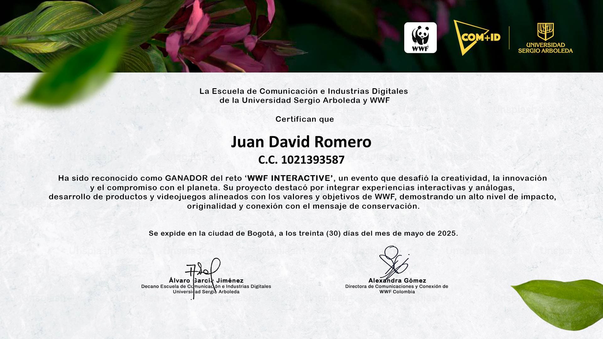 Certificado 2